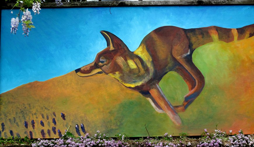 Coyote close up - Ogden St Community Garden Mural,   Designed and Painted by John Elliott  San Francisco, CA.  4’ X 21’  2011